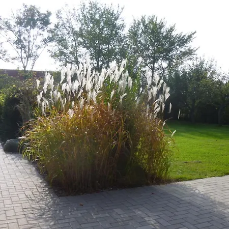 Westermarkelsdorf Apartment Fehmarn